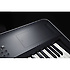 KROSS 2-88-DB Dark Blue Korg