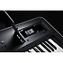 KROSS 2-88-DB Dark Blue Korg
