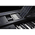 KROSS 2-88-DB Dark Blue Korg
