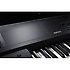 KROSS 2-88-DB Dark Blue Korg