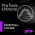 Pro Tools Ultimate Perpetual License (boîte) AVID