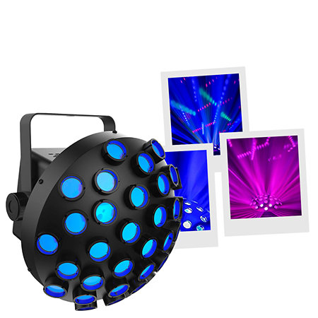 Line Dancer Chauvet