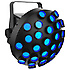Line Dancer Chauvet