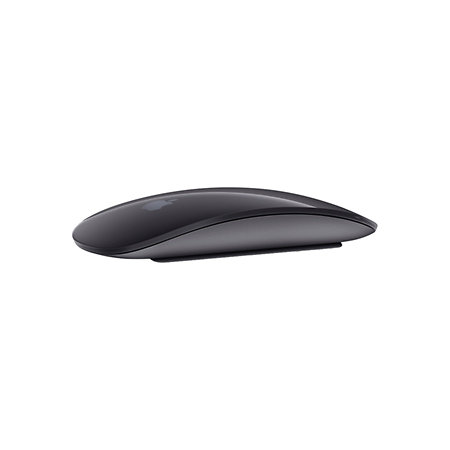 Magic Mouse 2 gris sidéral Apple