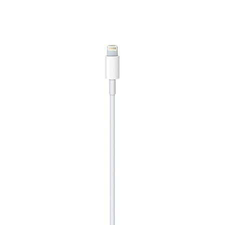 Apple Câble USB-C vers Lightning 1m