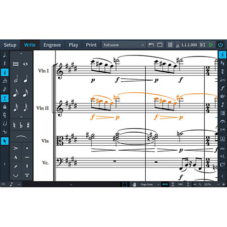 Dorico Pro 2 EDU Steinberg