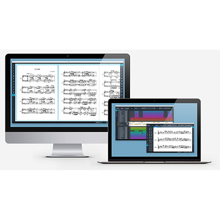 Dorico Pro 2 EDU Steinberg