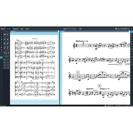 Dorico Pro 2 EDU Steinberg