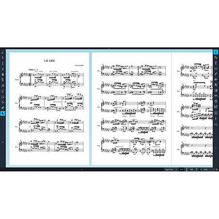 Dorico Pro 2 EDU Steinberg