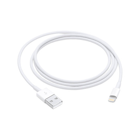 Câble Lightning vers USB (1 m) Apple