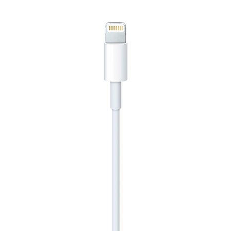Câble Lightning vers USB (1 m) Apple