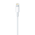 Câble Lightning vers USB (1 m) Apple