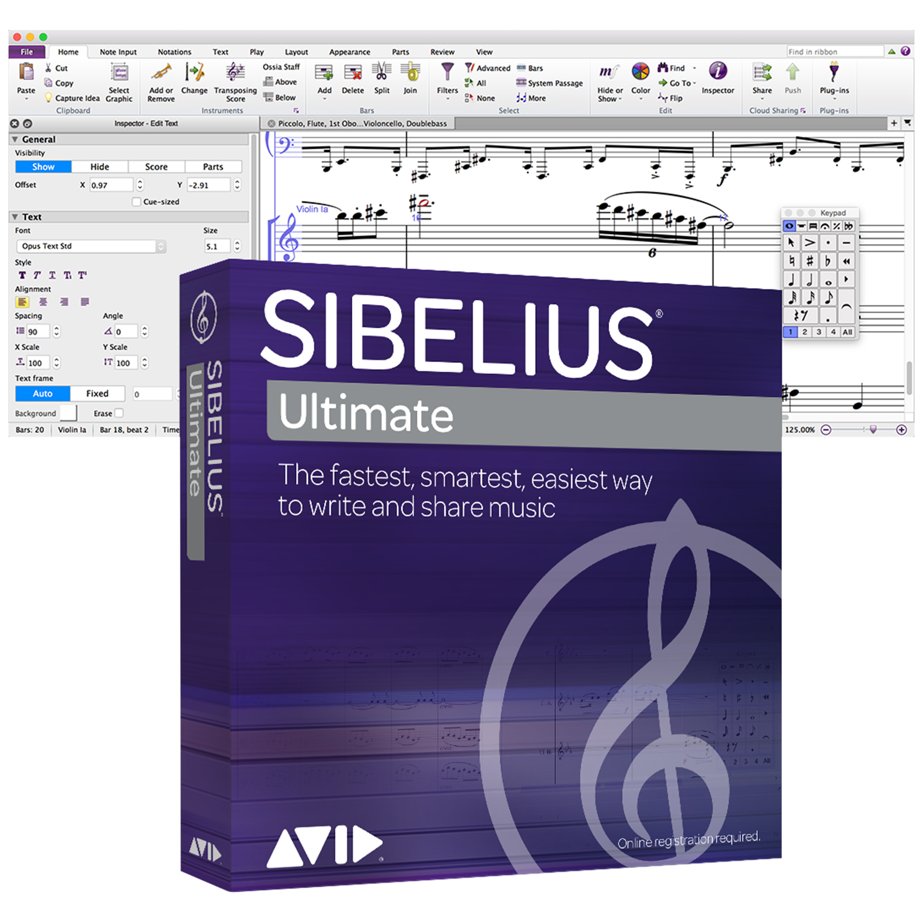 AVID Notation Sibelius Ultimate Licence