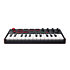 MPK mini MKII CTRL Case Pack Akai