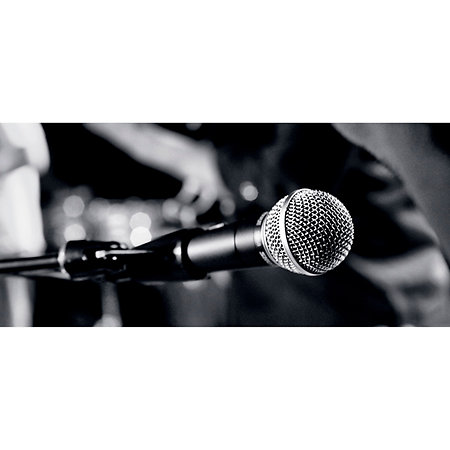SM 58 Bundle 4 Shure