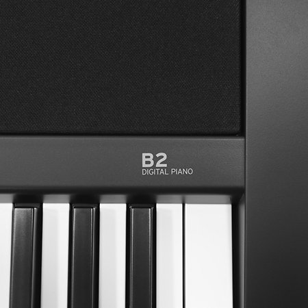 B2 Black Bundle 2 Korg