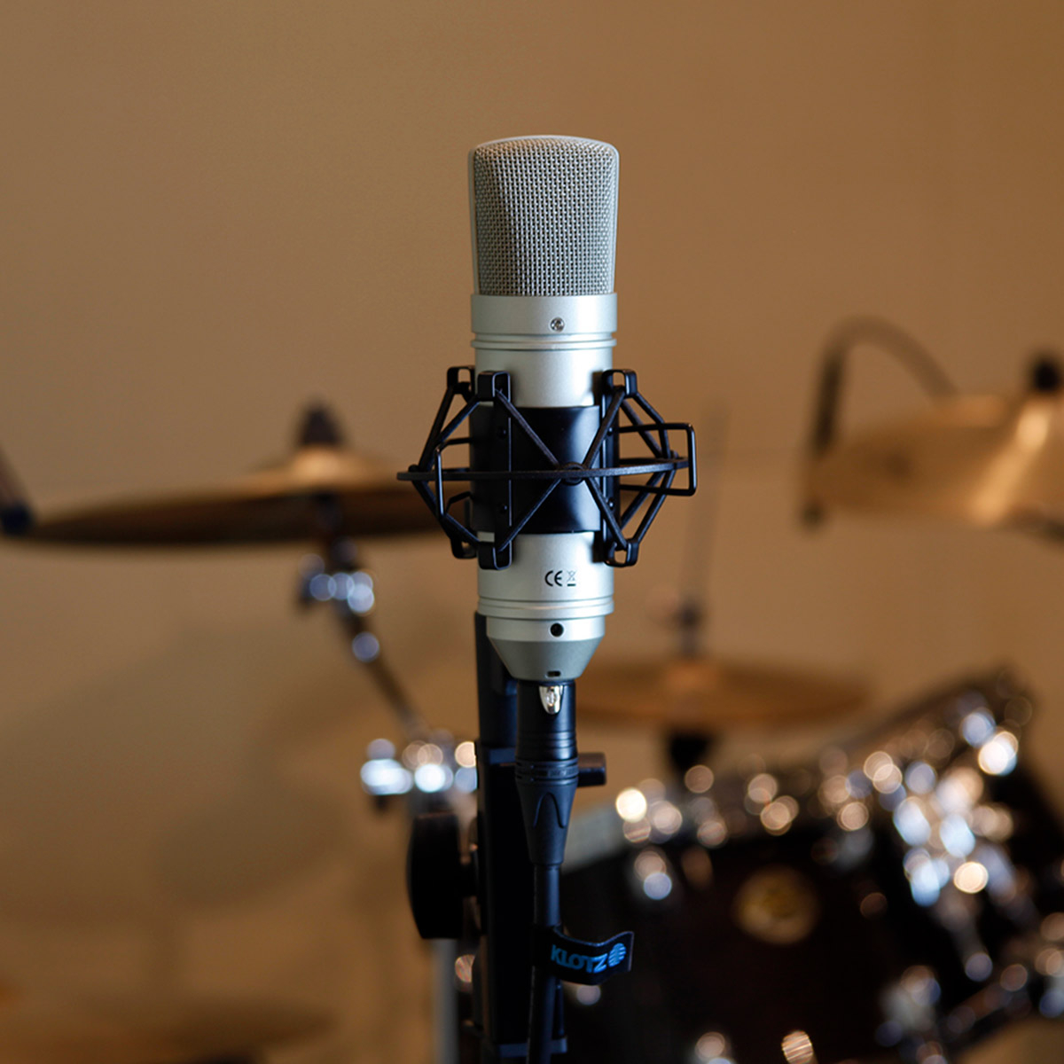 Tm80 Can Rig Tascam TM-80 - Micro statique Univers Sons
