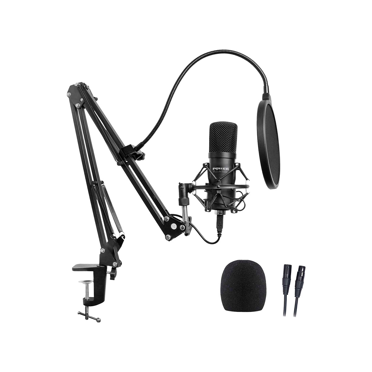 Power Studio Vibe B1 Bundle XLR
