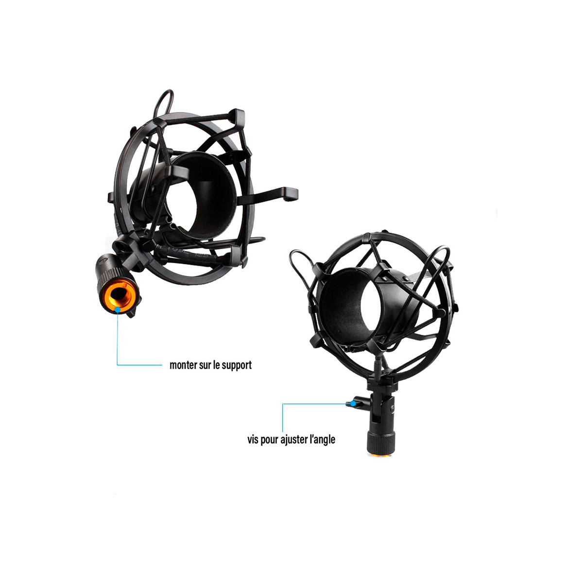 Power Studio Vibe B1 Bundle XLR