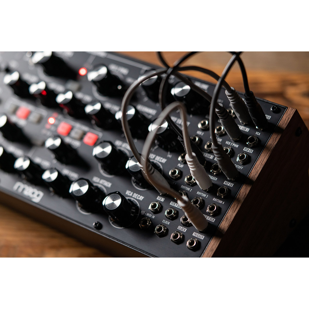 Moog SubHarmonicon Rack Synthétiseur Univers Sons
