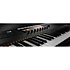 Kontrol S49 MKII + Upgrade Komplete 13 Select Native Instruments