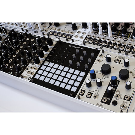 Preset Polyend