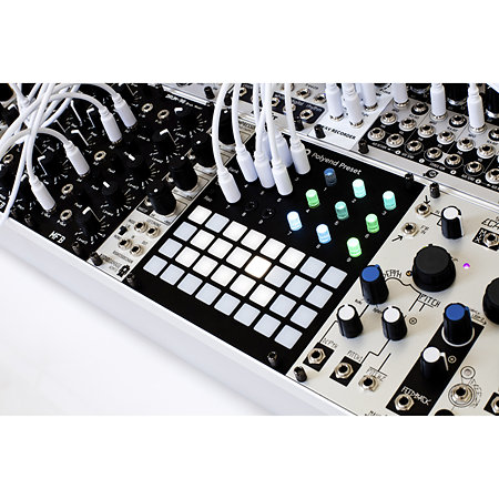 Preset Polyend
