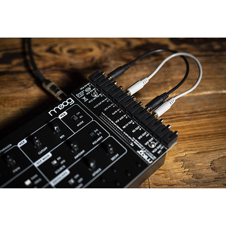 Werstatt-01 avec extension CV Moog
