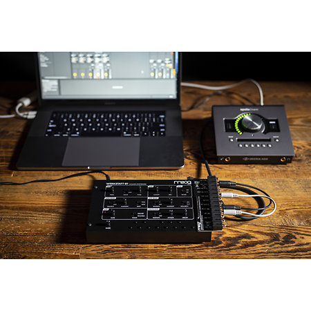 Werstatt-01 avec extension CV Moog