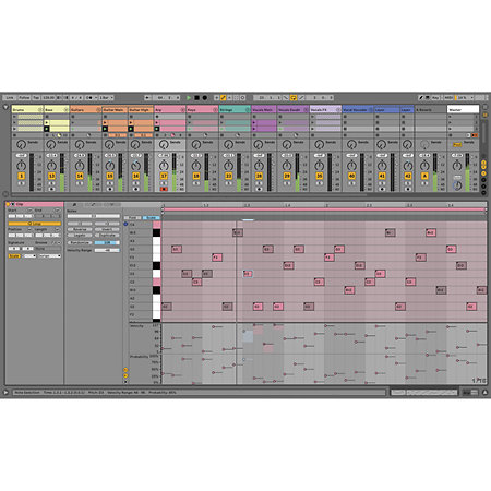 Live 11 Suite EDU licence Ableton