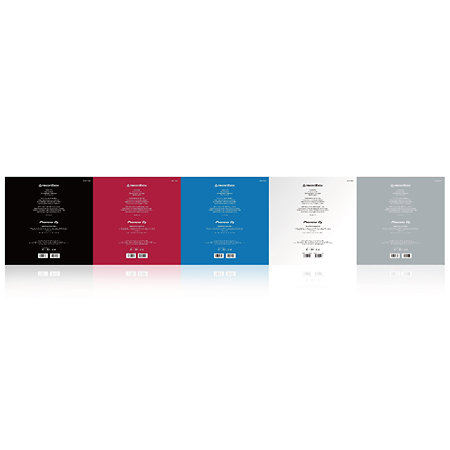 RB-VD2-W Vinyles Rekordbox (paire) Pioneer DJ