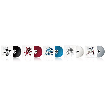 RB-VD2-W Vinyles Rekordbox (paire) Pioneer DJ