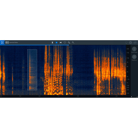 RX 9 Advanced Izotope