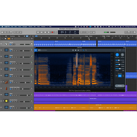 RX 9 Advanced Izotope
