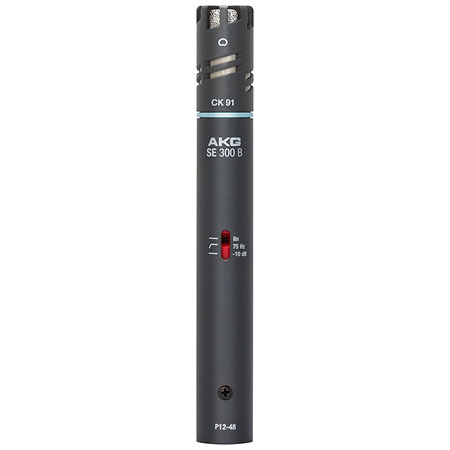 C391 B AKG
