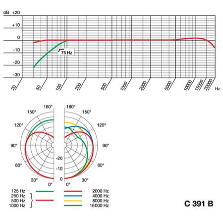 C391 B AKG