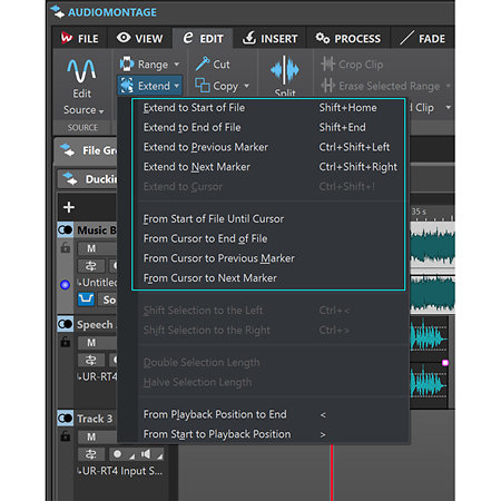WaveLab Pro 11.1 (version boîte) Steinberg