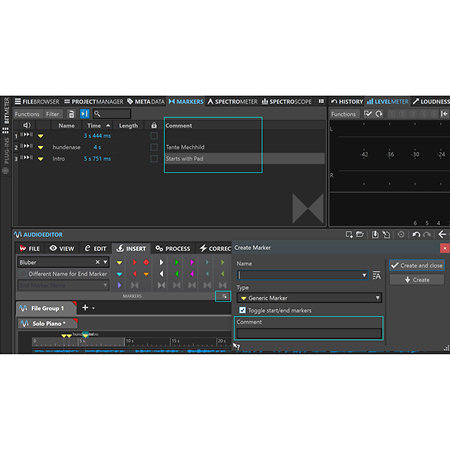 WaveLab Pro 11.1 (version boîte) Steinberg