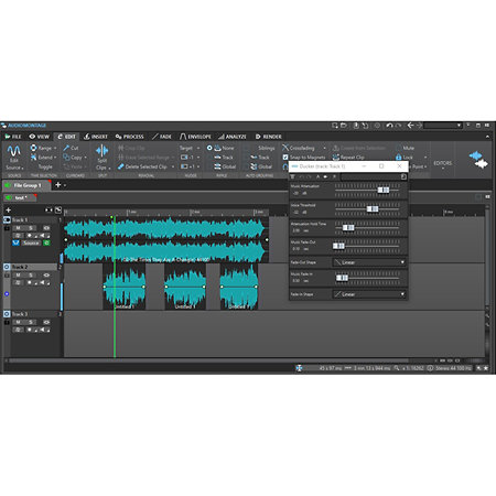 WaveLab Pro 11.1 (version boîte) Steinberg