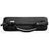 Zen Go Synergy Core + Edge Solo + Etui UDG Antelope Audio