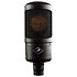 Zen Go Synergy Core + Edge Solo + Etui UDG Antelope Audio