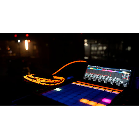 Blacklight Edition 6 PR-G Cordial