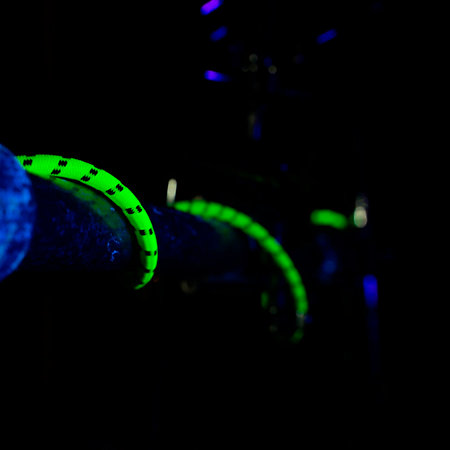 Blacklight Edition 6 PR-O-SIL Cordial
