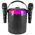 Star Voice BoomTone DJ