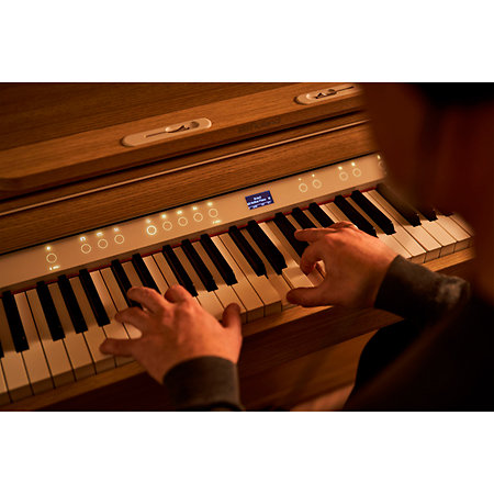 LX-5-LA Light Oak Roland