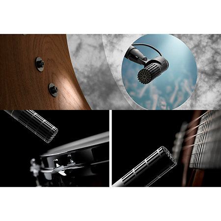 2011ER Rear Cable DPA