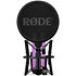 NT1 Signature Purple Rode