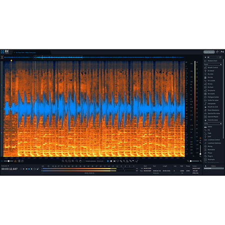 RX 11 Standard (licence) Izotope