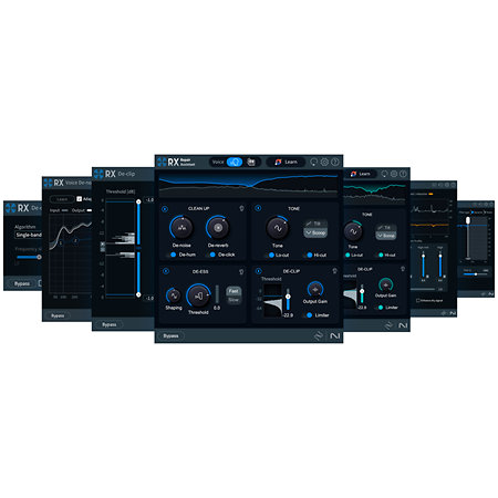 RX 11 Elements (licence) Izotope