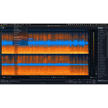 RX 11 Advanced Update (licence) Izotope